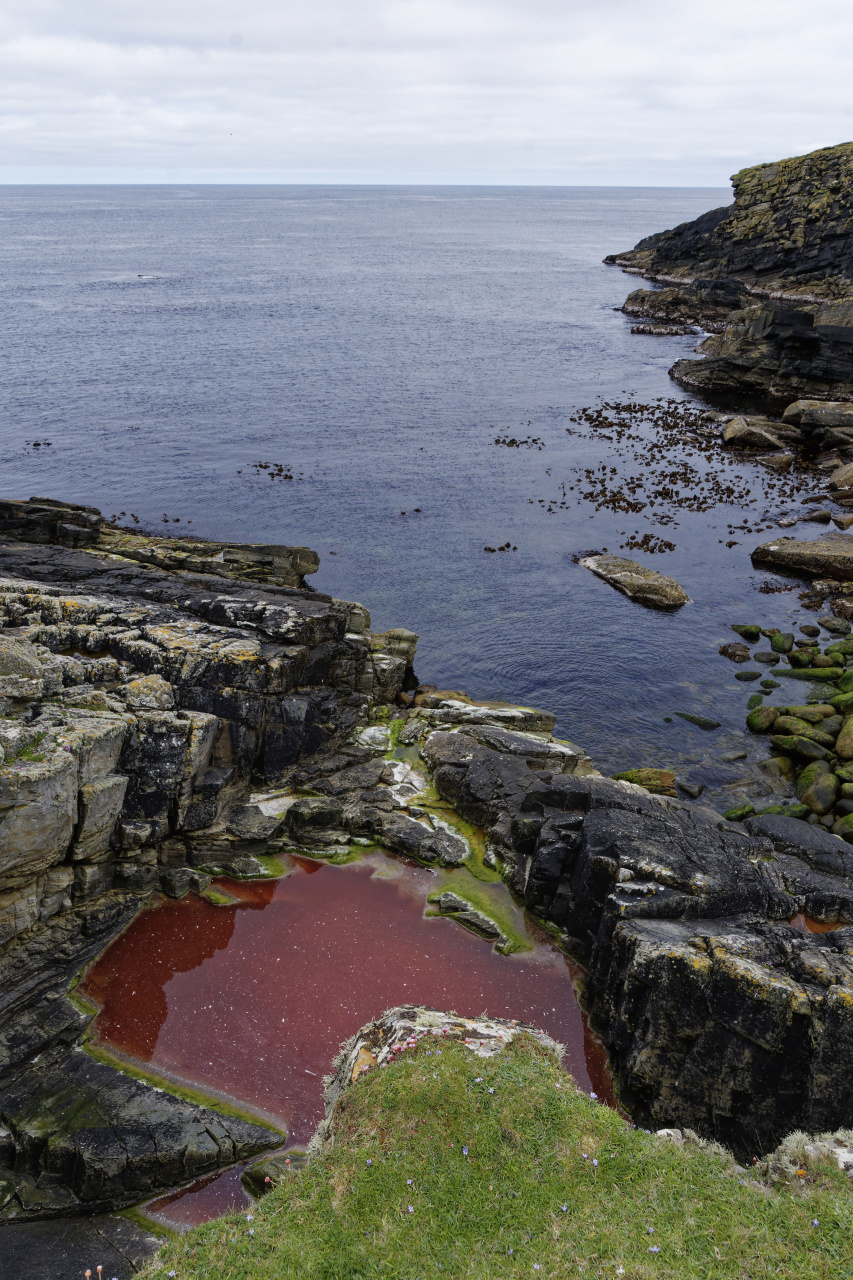 Red Pool of Virkie