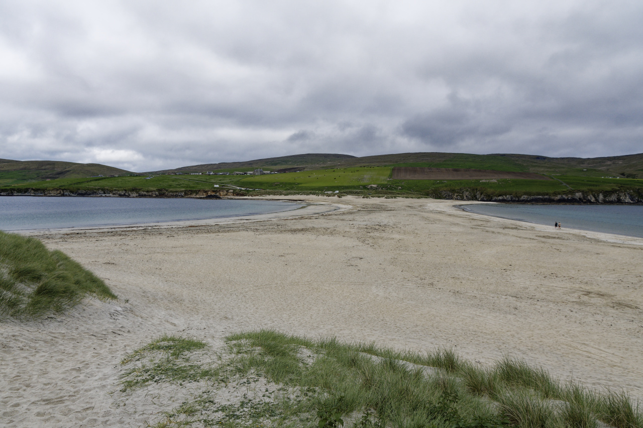 The Beach