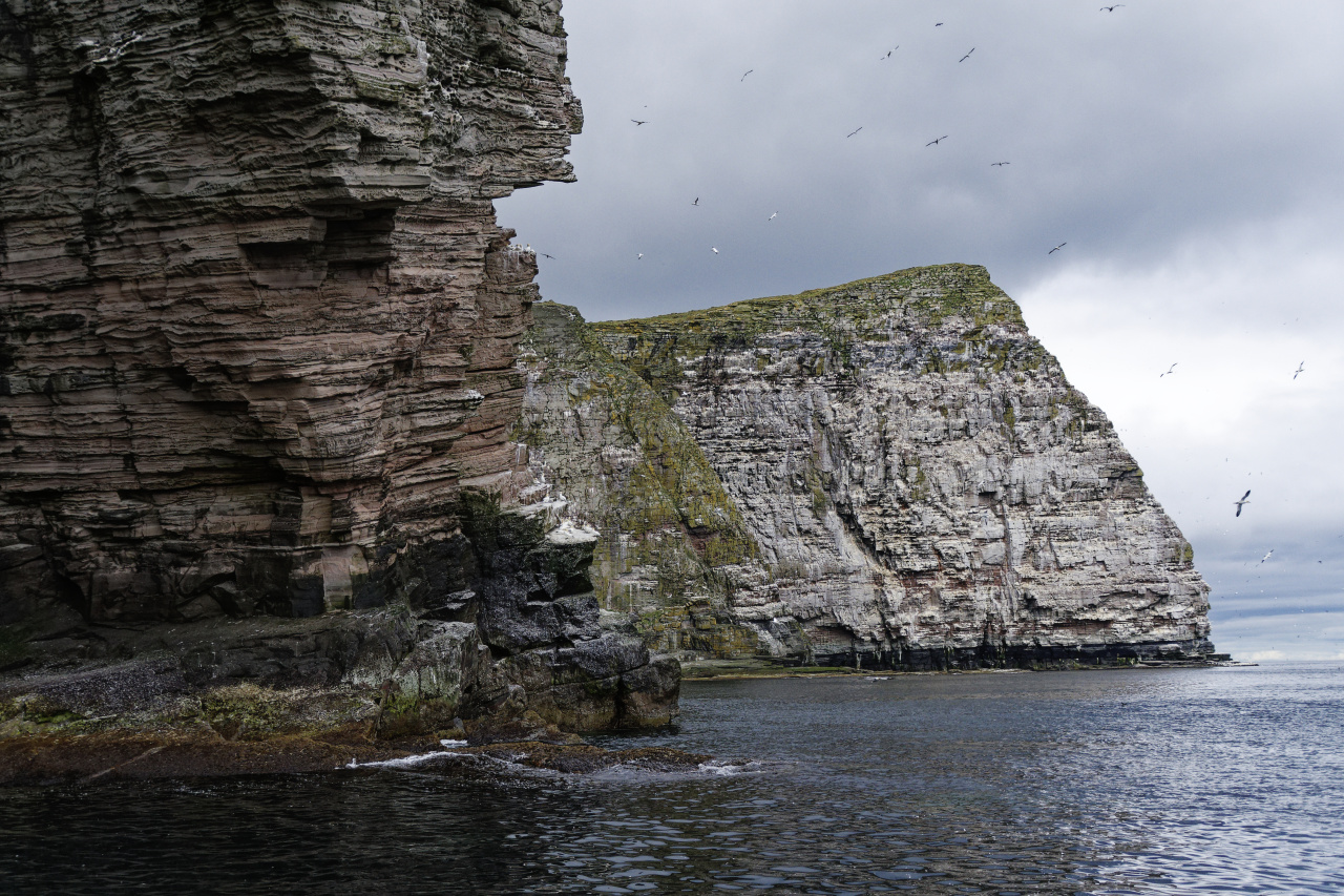 Noss Cliffs