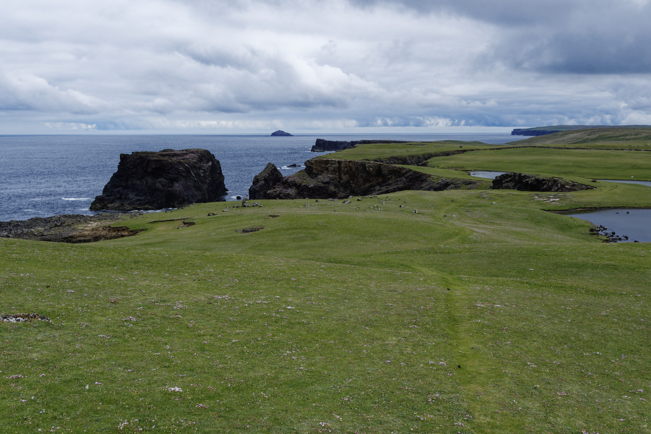 Rolling Hills