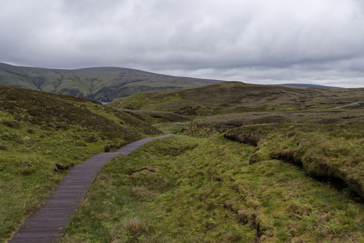 Broadwalks on Moor Land