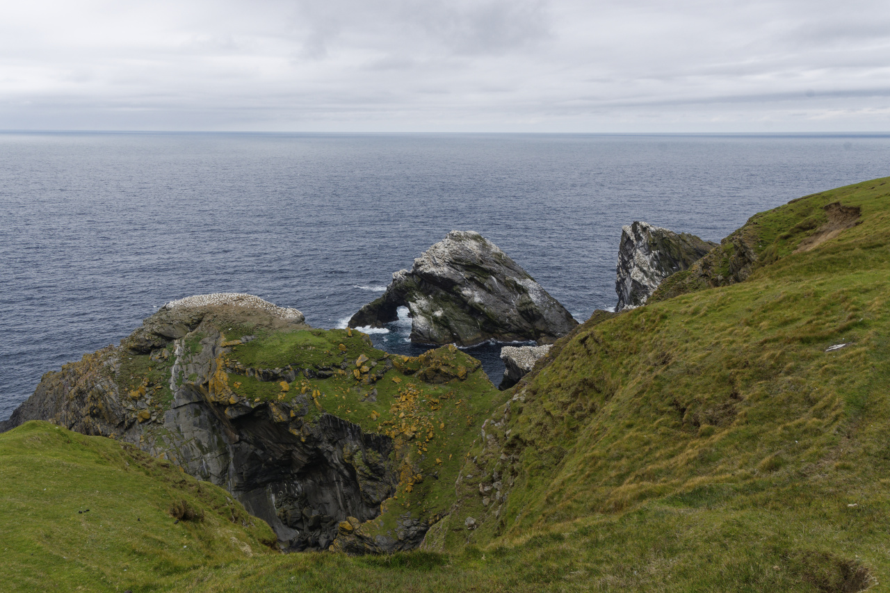 Bird Colonies on the Rocks