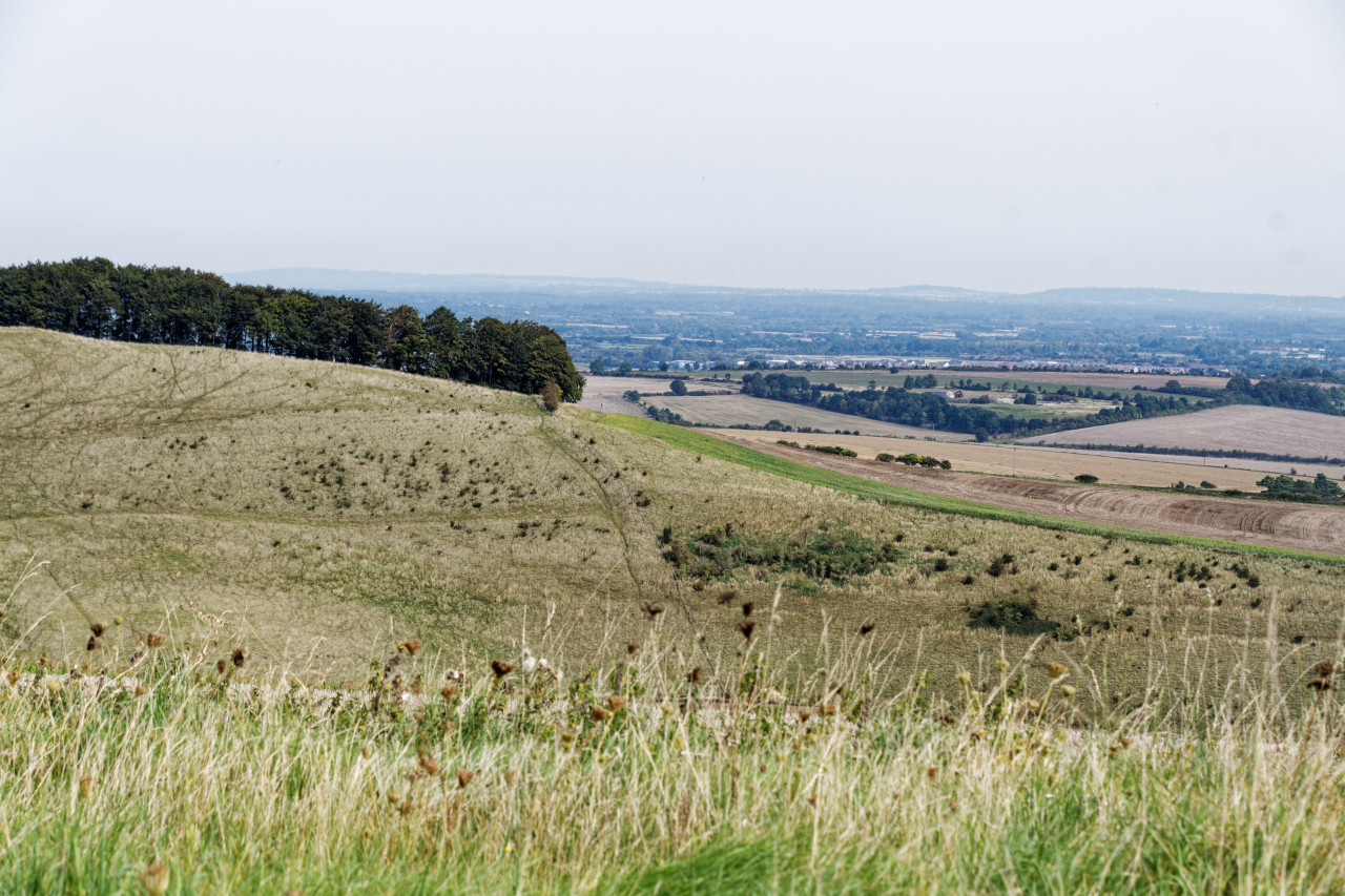 View from the Ridgeway