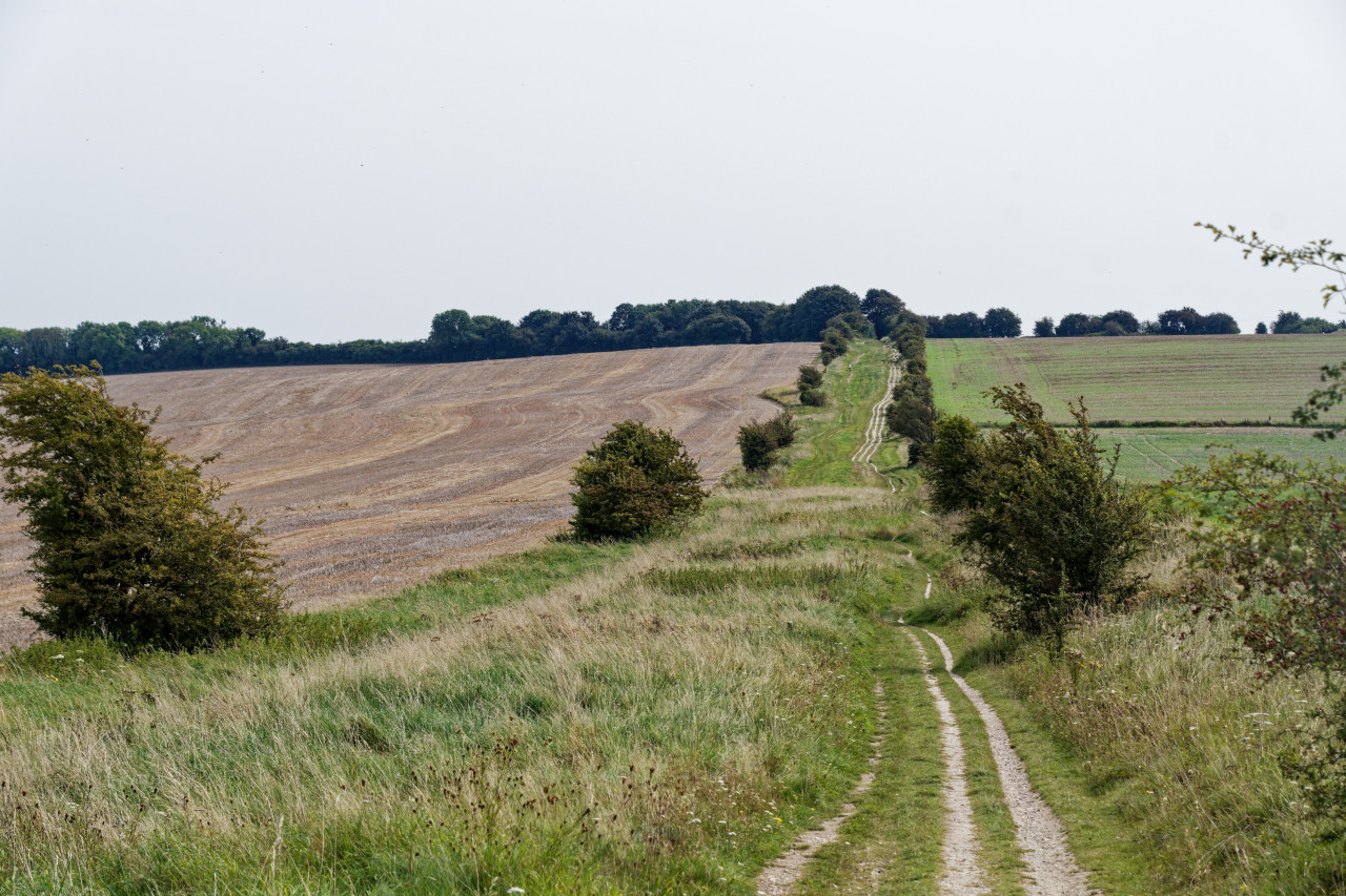 The Path Ahead
