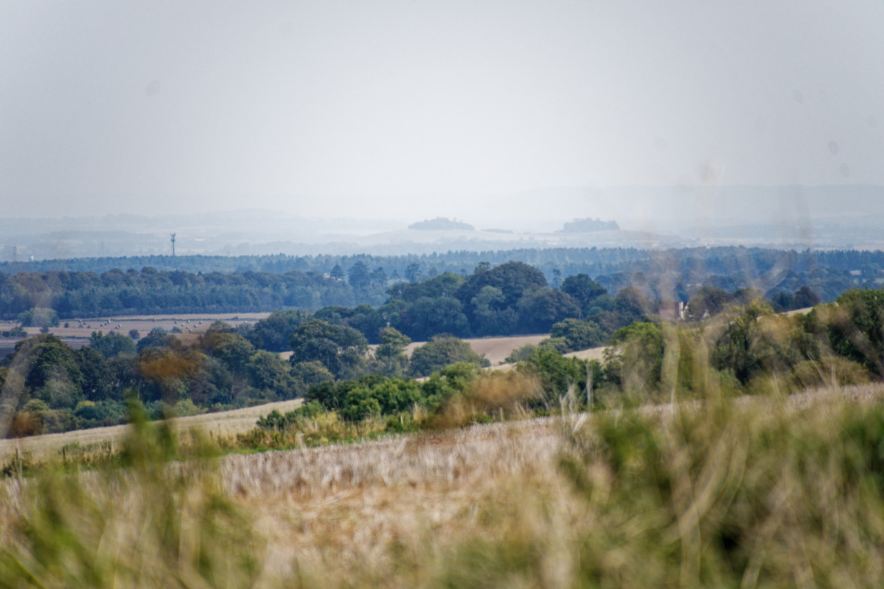 Wittenham Clumps