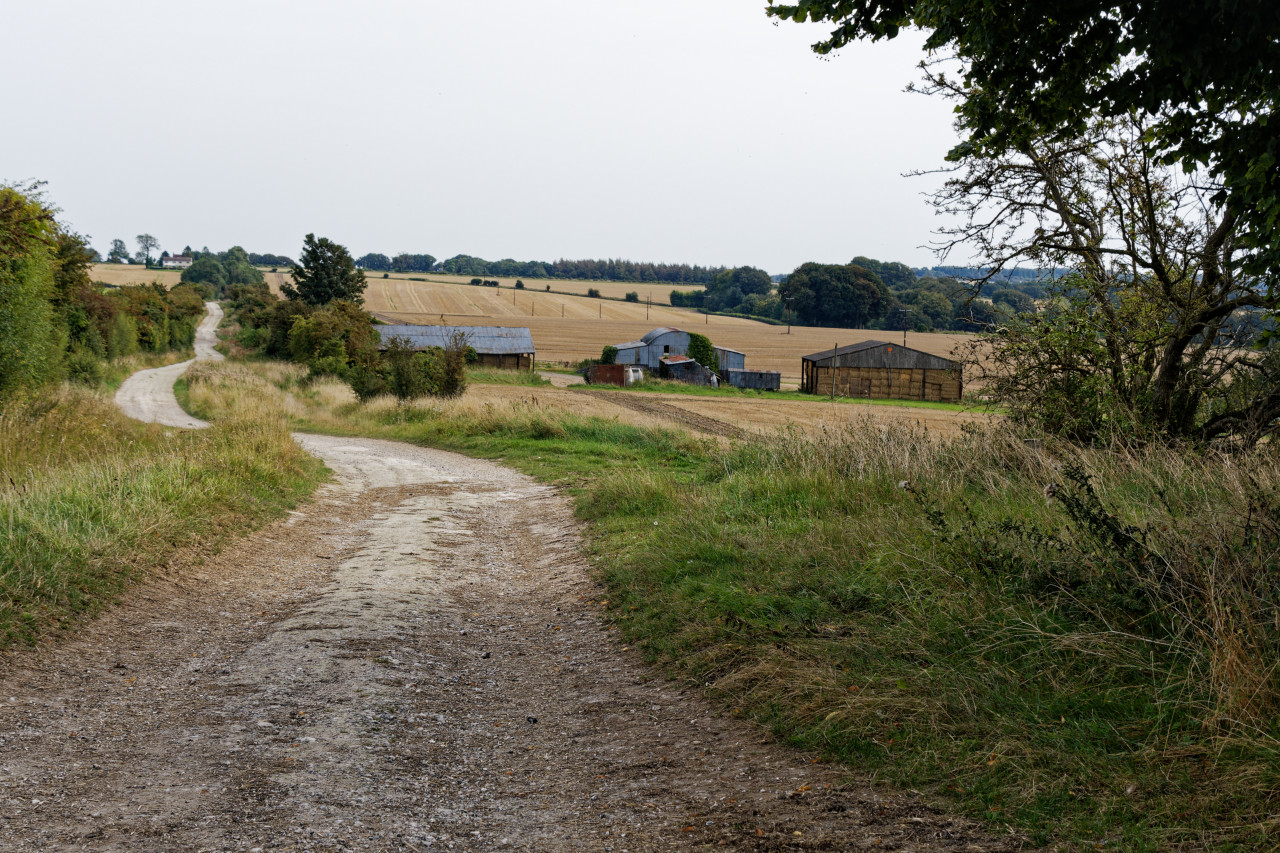 Hill Side Farm