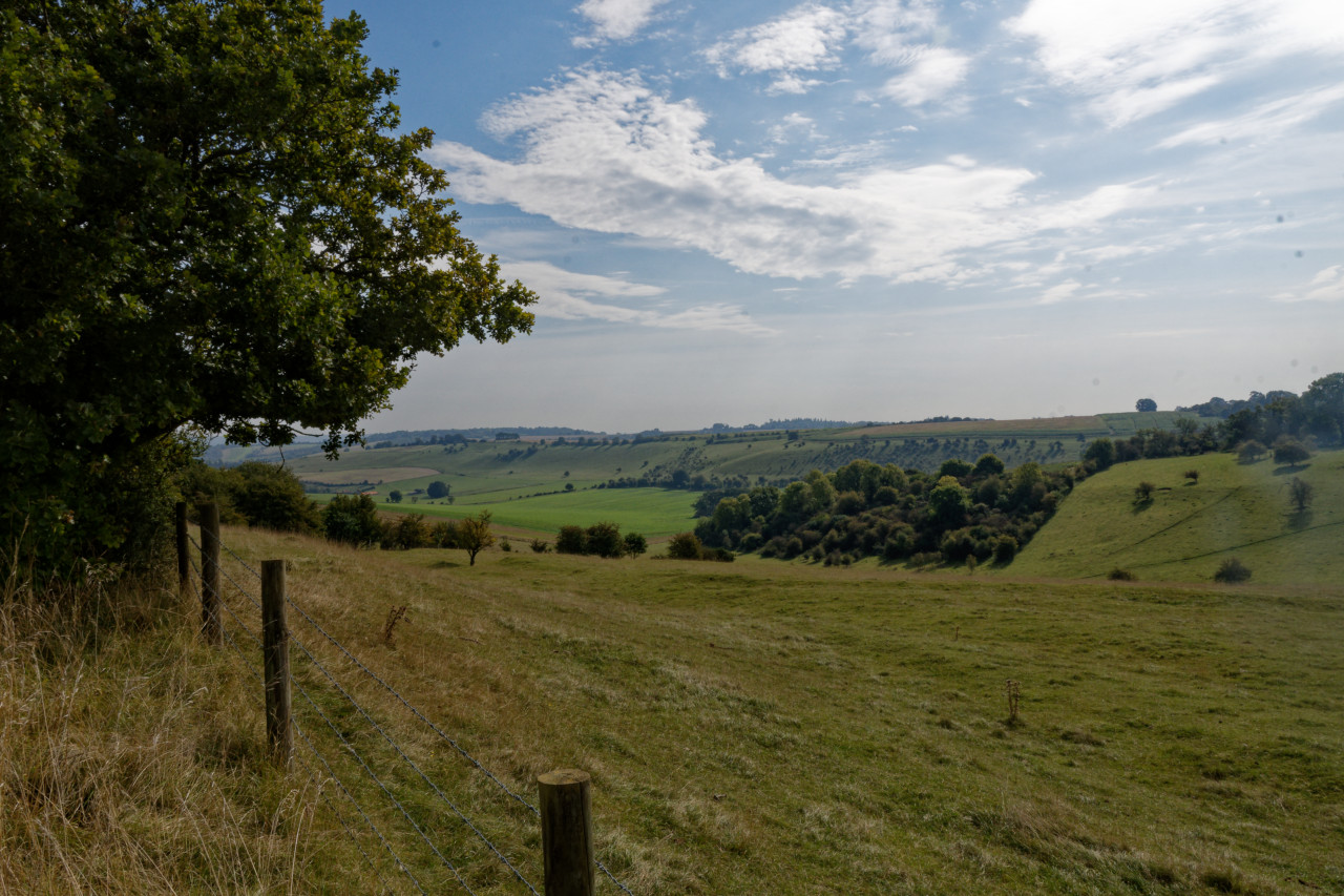 Green Valley