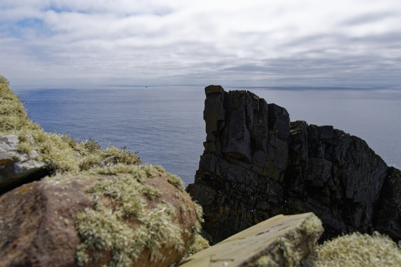 Jagged Cliffs