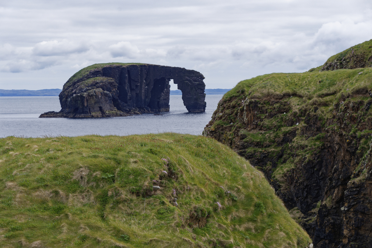 Dore Holm