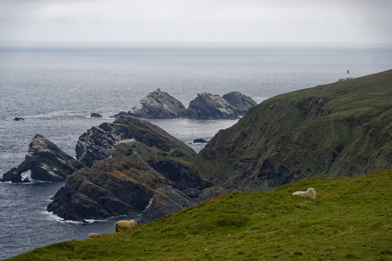 View from the Cliffs