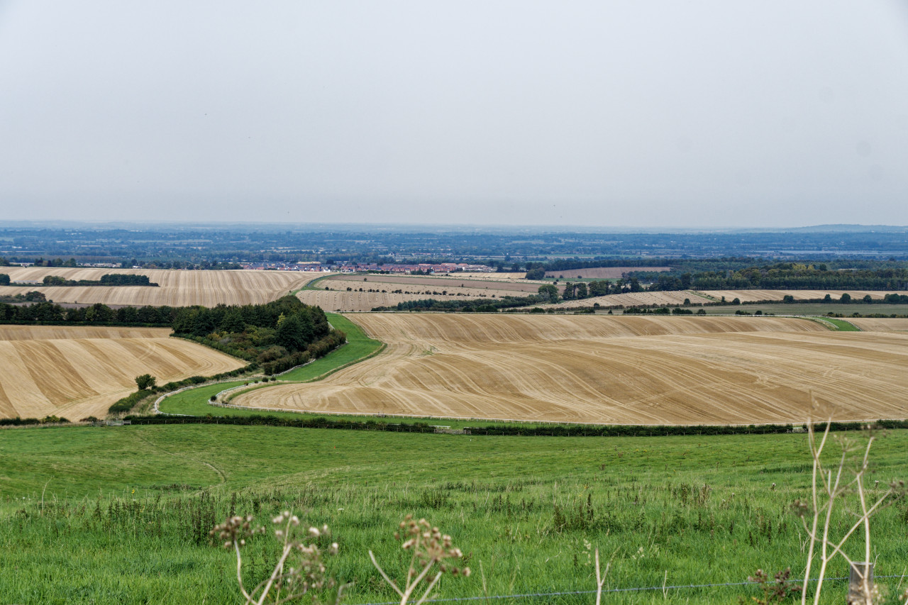 Rolling Hills