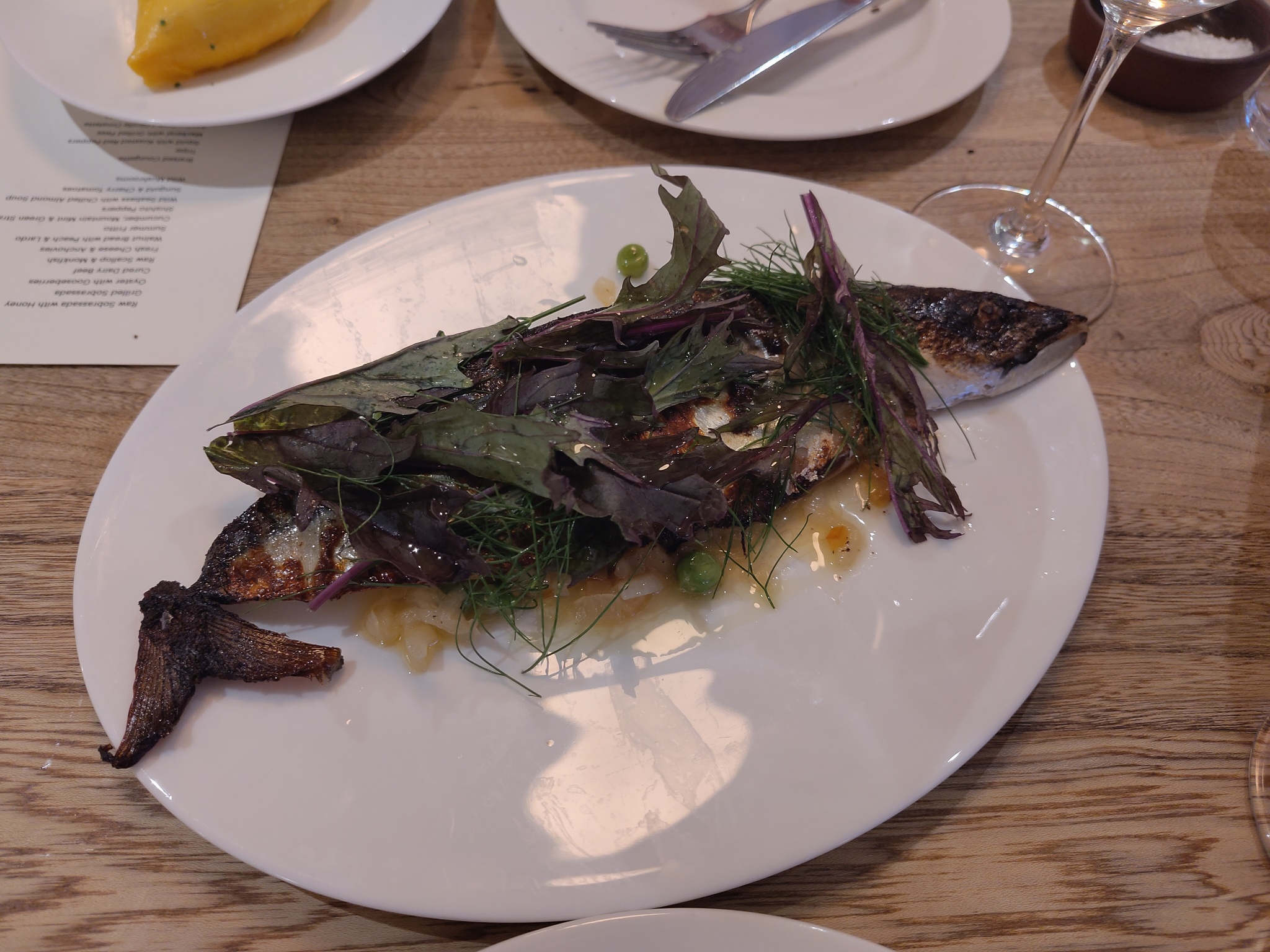 Mackerel