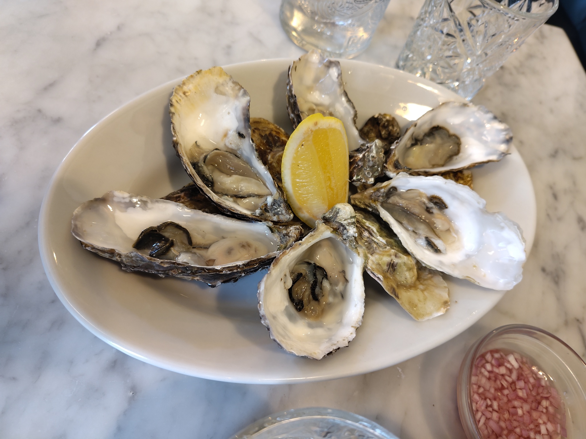 Selection of Oysters