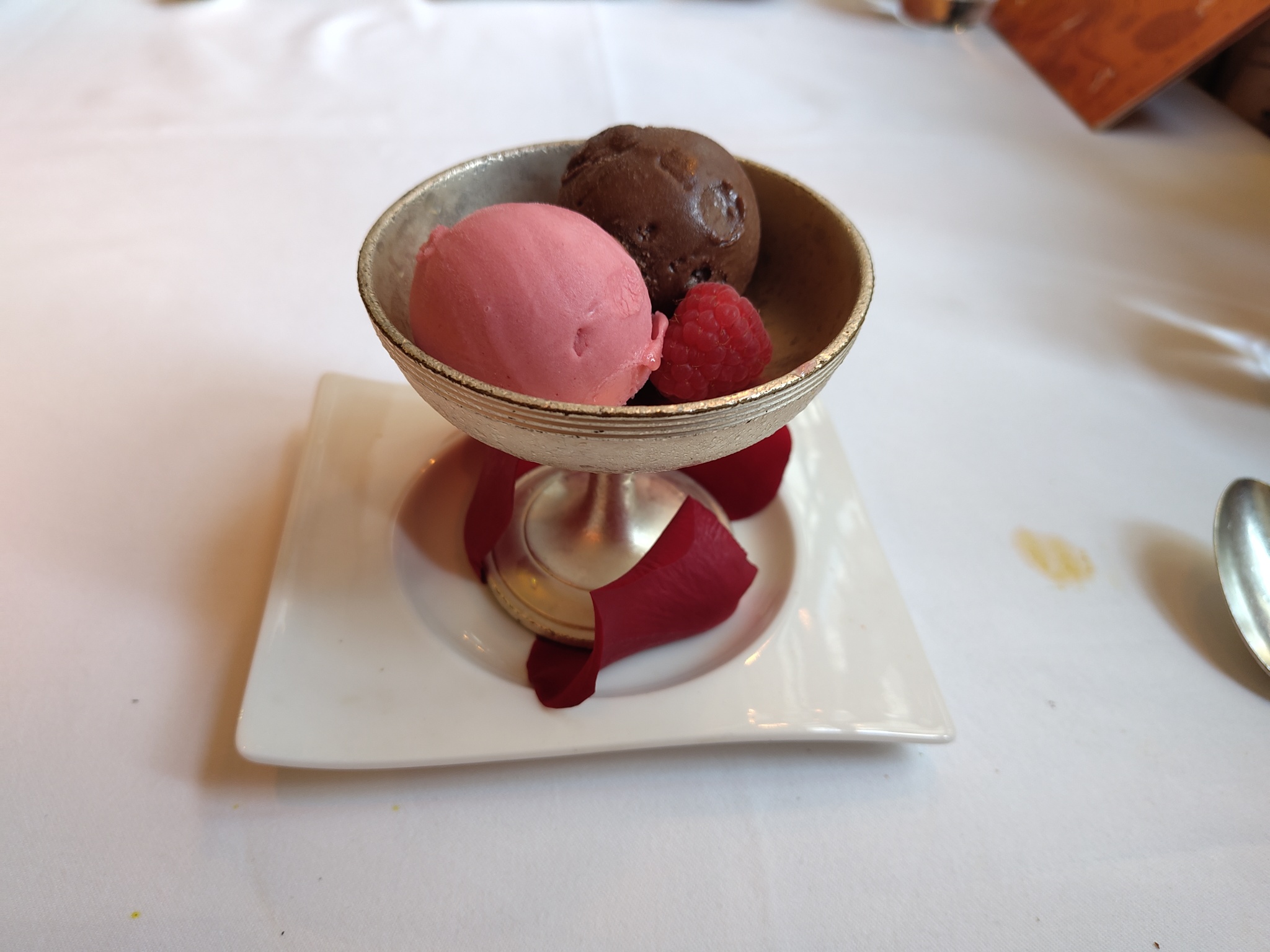 Dark Chocolate and Raspberry Sorbets